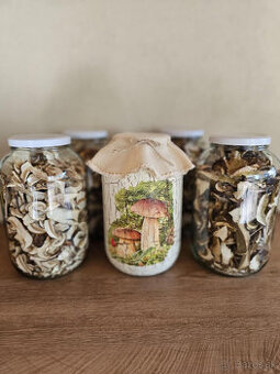 Sušené suchohríby