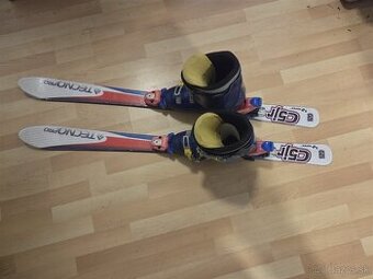 Detské lyže Tecno Pro 120 cm