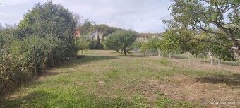 Predám oplotenú záhradu v Snine s ovocnými stromami