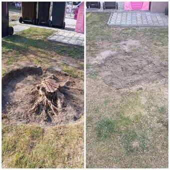 Frézovanie pňov a výrub