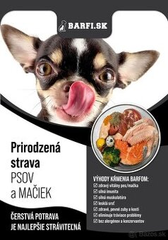 Predám zabehnutý eshop s kamennou predajňou + tovar & auto