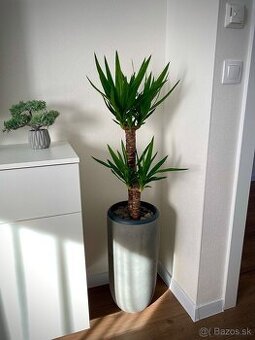 KVETINÁČ / DEKOR BETÓN / NOVÝ