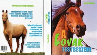 A lovak testbeszéde