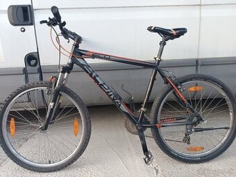 Alpina 19.5"