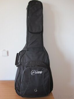 Gitara Washburn