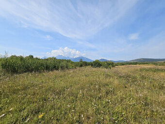 EXKLUZÍVNA PONUKA: PRIESTRANNÝ POZEMOK PRI SVLOVENSKEJ VSI - 1