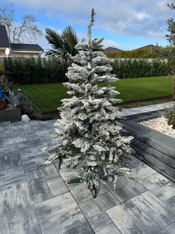 Predám vianočný stromček 180cm