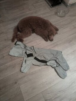 Pršiplášť pre stredne veľkého psa