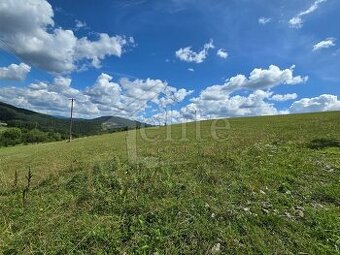 Predaj, Pozemok/Trvalé trávnaté porasty (RE01021495)