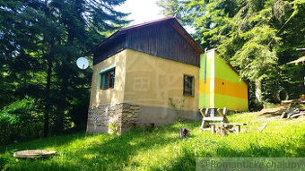 Chata pri lyžiarskom vleku, Drienica