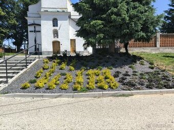 Záhrada zelená strecha rizikové rezanie stromov