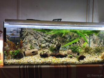 Komplet akvárium