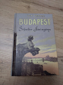 Kniha Budapest - Schneider Fáni regénye