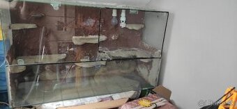 Terarium