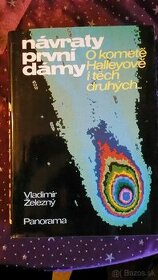 Návraty prvej dámy  - Vladimír Železný