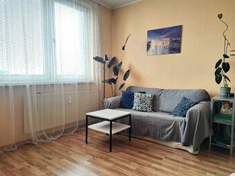NA PREDAJ svetlý 1 izbový byt pri jazere veľký Draždiak