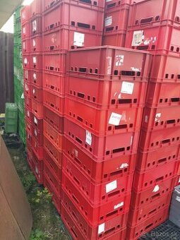 Plastové prepravky bednicky