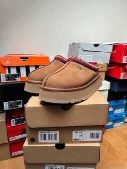 UGG Tazz Chestnut EU39