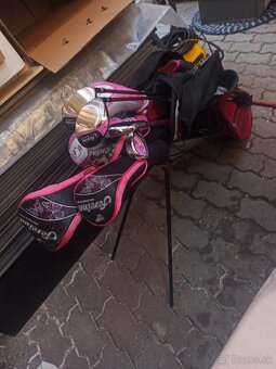 Golfové palice