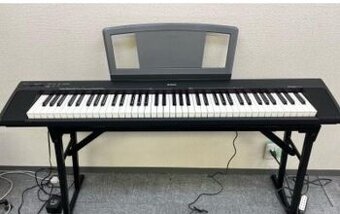 Yamaha Portable NP 30