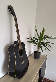 Gitara znacky Ibanez