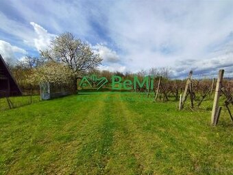 Vinica-Slovenské Kľačany-predaj