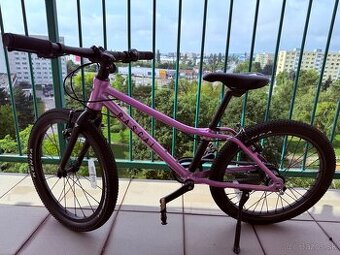 Rascal 20” ružový
