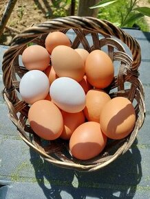 Domace vajíčka