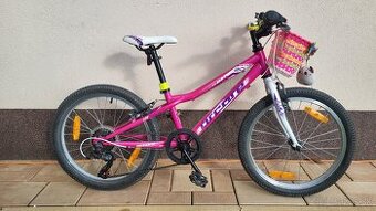 Arcore temper 20