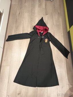 Kostým Harry Potter