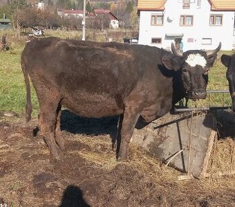 Dovos viem zabepečiť