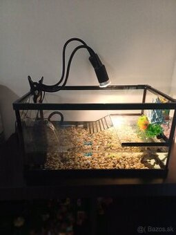 Akvarium s prislusenstvom