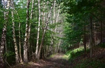 Blažov  – 3.145 m2 LESY a ORNÁ PÔDA – PREDAJ