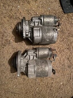 Felicia favorit diely