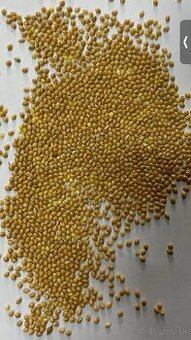 Predám žlté proso