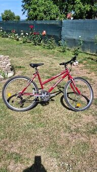 Dámsky horský bicykel.