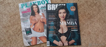 Playboy 2006 + darcek cas. Break Mamba 2018