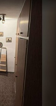 Darujem drevo(Rozbita stara skrina)