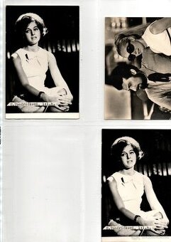 POHLADNICE VONDRACKOVA - NECKAR