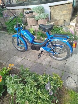 Babeta 210