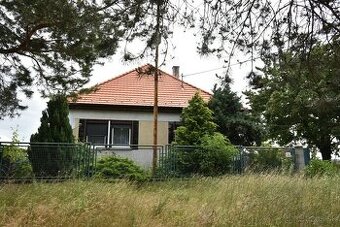 Viničné:Rodinný dom na pozemku 2.624 m2