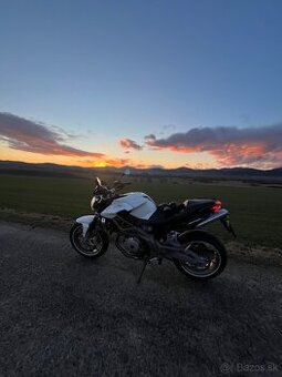 Aprilia