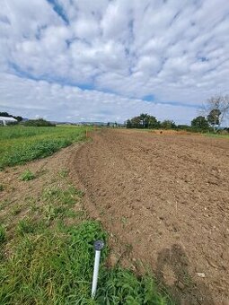 Predám záhradu, pozemok.