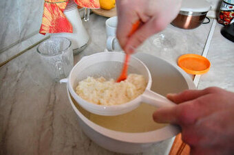 Tibetská huba - kefírové zrno