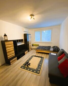 Na prenájom zariadený 1 izbový byt v Bratislave - DNV