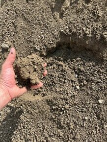 Osievana zem, ornica .