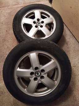 Elektrony s letnymi pneu 195/65 R15