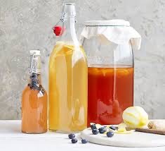 Kombucha - scoby s nálevom a návodom