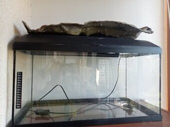 Predám 60l akvárium