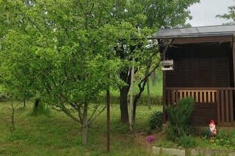 Záhradka v Novom Meste nad Váhom - 1